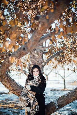 2025年新奥正版免费大全-百度