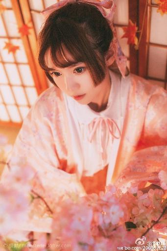 青楼十二房在线观看免费版电视剧全集